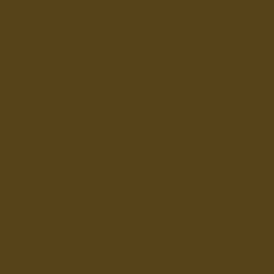 Chocolate color option for Fruit of the Loom 3930R HD Cotton Short Sleeve T-Shirt, showcasing rich brown hue in a 300x300 pixel image.
