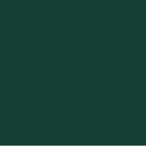 Forest Green color swatch for Fruit of the Loom 3930R HD Cotton Short Sleeve T-Shirt, showcasing one of the 20+ color options available.