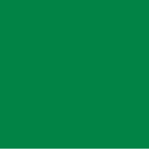 Green color swatch representing one of the options for the Fruit of the Loom 3930R HD Cotton Short Sleeve T-Shirt available at Hau Ink.