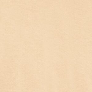 Soft Cream fabric swatch representing the Bella + Canvas 3001 Unisex Jersey Tee, showcasing color option for high-quality apparel.