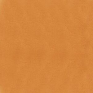 Burnt orange fabric texture representing color option for Bella + Canvas 3001 Unisex Jersey Tee, suitable for merchandise display at Hau Ink.