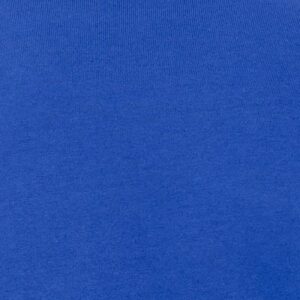 True Royal color swatch of Bella + Canvas 3719 Unisex Sponge Fleece Pullover Hoodie, featuring a vibrant blue fabric texture, representing one of the many available color options for custom apparel.