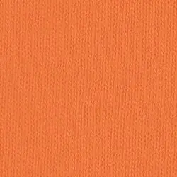 Burnt orange fabric swatch representing color option for Comfort Colors 1717 garment-dyed heavyweight t-shirt on Hau Ink e-commerce platform.