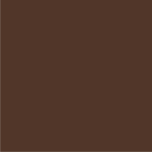 Chocolate brown color swatch for Champion S700 Powerblend Hooded Sweatshirt, showcasing customizable apparel options.