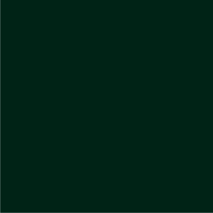 Dark green color swatch for Champion S700 Powerblend Hooded Sweatshirt, highlighting customizable apparel options.