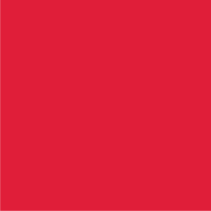 Red color swatch representing the Champion S700 Powerblend Hooded Sweatshirt, available in various sizes and customizable options.