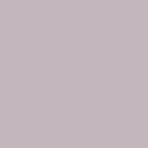 Ash Grey color swatch for American Apparel 2001 Fine Jersey Tee, showcasing customizable apparel options.