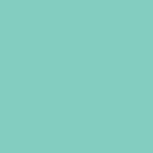 Celadon color swatch for American Apparel 1304 Heavyweight Cotton Long Sleeve Tee, showcasing sustainable fabric options.