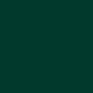 Dark green color swatch representing one of the available options for the American Apparel 2001 Fine Jersey Tee.