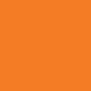Orange color swatch for American Apparel 1304 Heavyweight Cotton Long Sleeve Tee, highlighting fabric options for sustainable apparel.