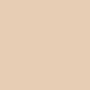 Sand color swatch for American Apparel 1304 Heavyweight Cotton Long Sleeve Tee, showcasing sustainable fabric options and available sizes.
